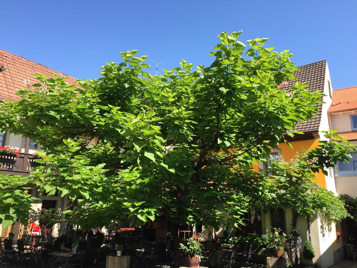 Gasthof Zum Storch プリッヒゼンシュタット エクステリア 写真